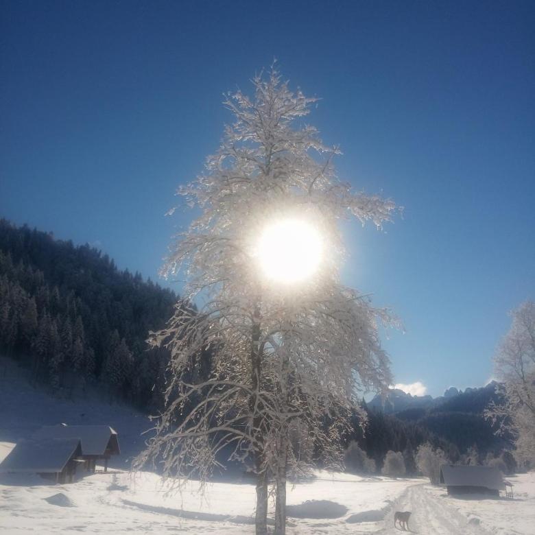Huatscher Camporosso  Exterior foto